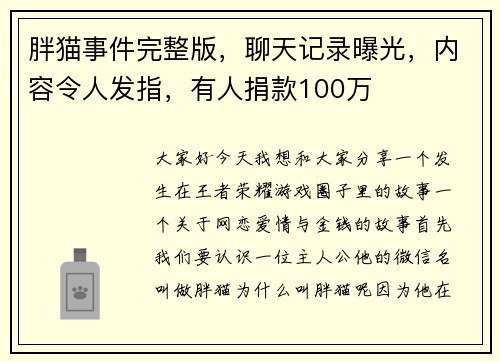 胖猫事件完整版，聊天记录曝光，内容令人发指，有人捐款100万