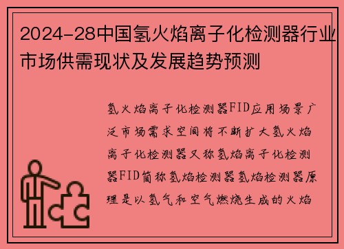 2024-28中国氢火焰离子化检测器行业市场供需现状及发展趋势预测