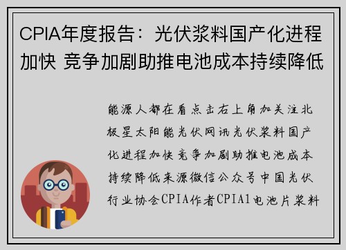 CPIA年度报告：光伏浆料国产化进程加快 竞争加剧助推电池成本持续降低